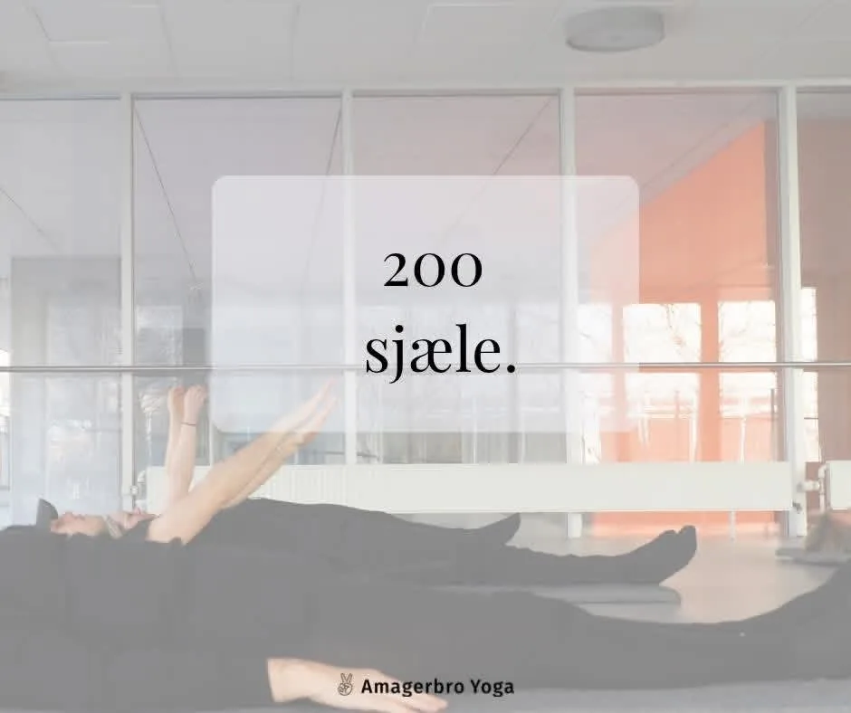 Yogaelever ligger på måtter med benene op i en lys sal med store vinduer