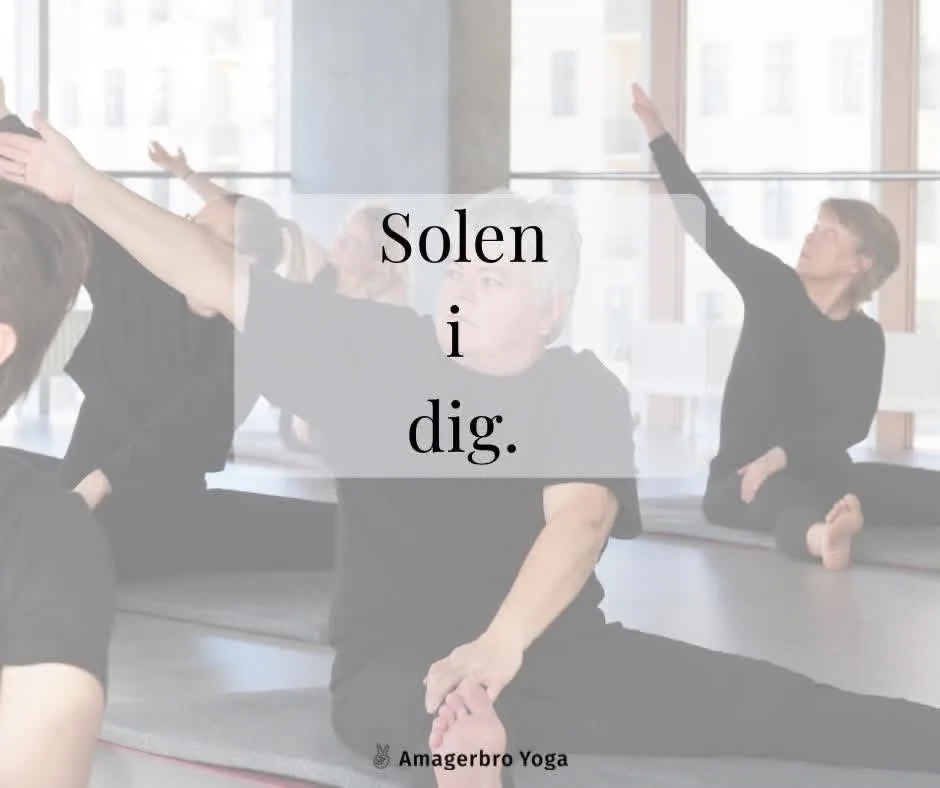 Yogaelever sidder på måtter i en lys sal og strækker den ene arm op i en sidebøjning foran store vinduer